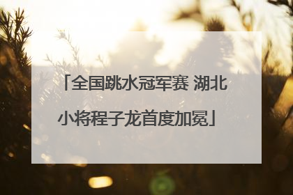 全国跳水冠军赛 湖北小将程子龙首度加冕