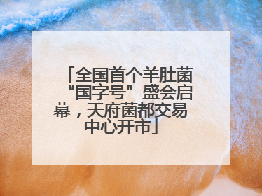 全国首个羊肚菌“国字号”盛会启幕，天府菌都交易中心开市