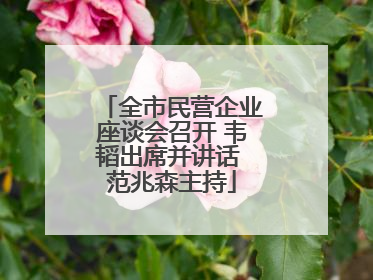 全市民营企业座谈会召开 韦韬出席并讲话 范兆森主持