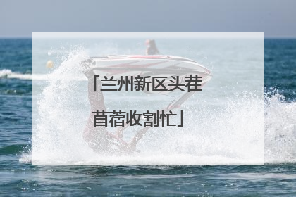 兰州新区头茬苜蓿收割忙