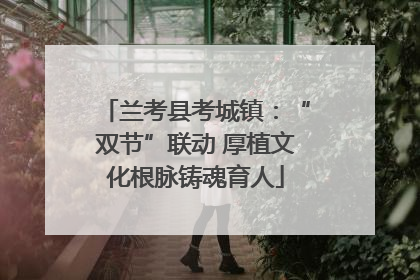 兰考县考城镇：“双节”联动 厚植文化根脉铸魂育人