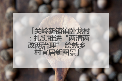 关岭新铺镇卧龙村：扎实推进“两清两改两治理” 绘就乡村宜居新图景