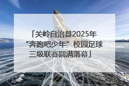 关岭自治县2025年“奔跑吧少年”校园足球三级联赛圆满落幕