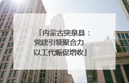 内蒙古突泉县：党建引领聚合力 以工代赈促增收