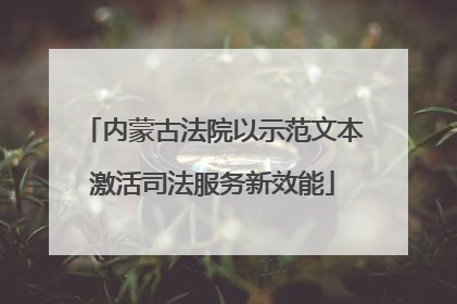 内蒙古法院以示范文本激活司法服务新效能