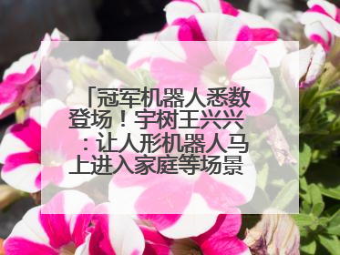 冠军机器人悉数登场！宇树王兴兴：让人形机器人马上进入家庭等场景并不现实