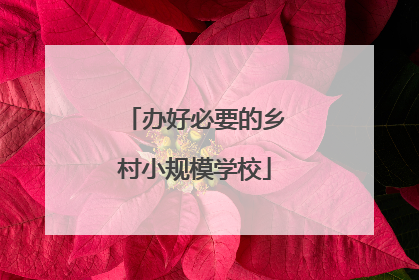 办好必要的乡村小规模学校
