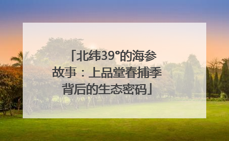 北纬39°的海参故事：上品堂春捕季背后的生态密码