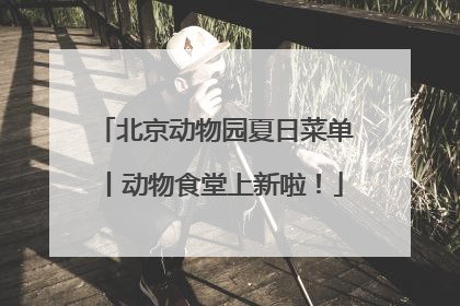 北京动物园夏日菜单丨动物食堂上新啦！