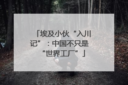 埃及小伙“入川记”：中国不只是“世界工厂”