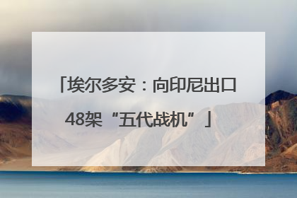埃尔多安：向印尼出口48架“五代战机”