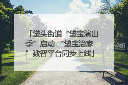 垡头街道“垡宝演出季”启动 “垡宝治家”数智平台同步上线