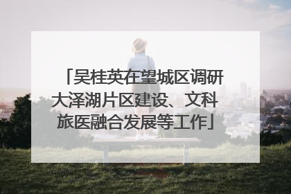 吴桂英在望城区调研大泽湖片区建设、文科旅医融合发展等工作