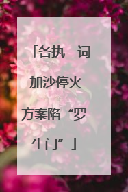 各执一词 加沙停火方案陷“罗生门”