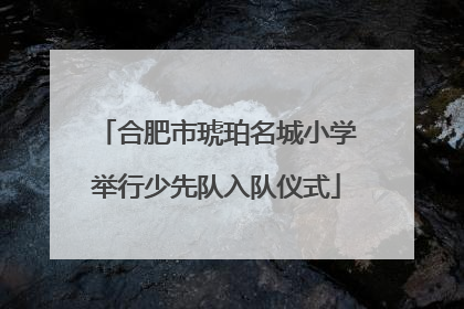 合肥市琥珀名城小学举行少先队入队仪式