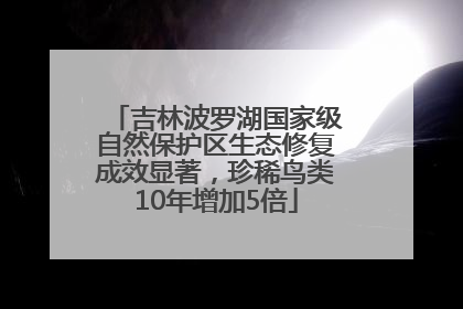 吉林波罗湖国家级自然保护区生态修复成效显著，珍稀鸟类10年增加5倍