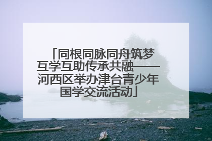 同根同脉同舟筑梦 互学互助传承共融——河西区举办津台青少年国学交流活动