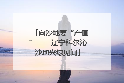 向沙地要“产值”——辽宁科尔沁沙地兴绿见闻