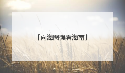 向海图强看海南