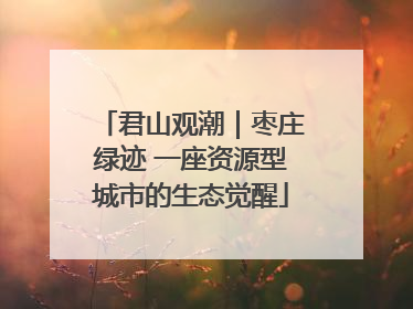 君山观潮｜枣庄绿迹 一座资源型城市的生态觉醒