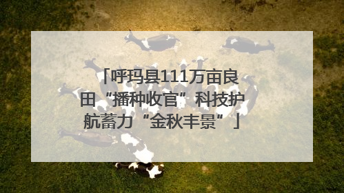 呼玛县111万亩良田“播种收官”科技护航蓄力“金秋丰景”