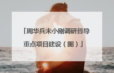周华兵未小刚调研督导重点项目建设（图）