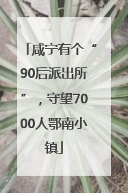 咸宁有个“90后派出所”，守望7000人鄂南小镇