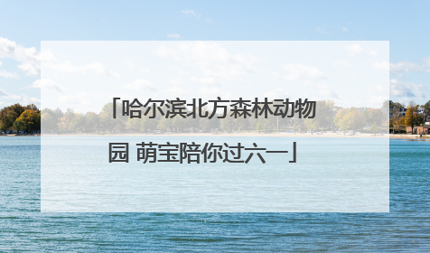 哈尔滨北方森林动物园 萌宝陪你过六一