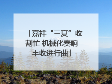 嘉祥“三夏”收割忙 机械化奏响丰收进行曲