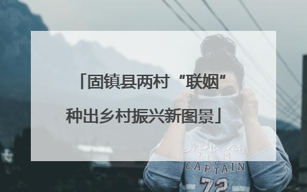 固镇县两村“联姻”种出乡村振兴新图景