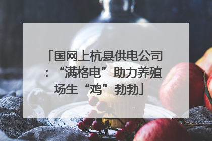 国网上杭县供电公司：“满格电”助力养殖场生“鸡”勃勃