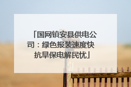 国网镇安县供电公司：绿色报装速度快 抗旱保电解民忧