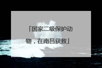 国家二级保护动物，在南昌获救