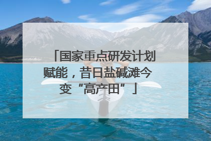 国家重点研发计划赋能，昔日盐碱滩今变“高产田”