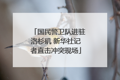 国民警卫队进驻洛杉矶 新华社记者直击冲突现场