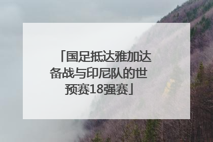 国足抵达雅加达备战与印尼队的世预赛18强赛