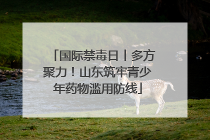 国际禁毒日丨多方聚力！山东筑牢青少年药物滥用防线