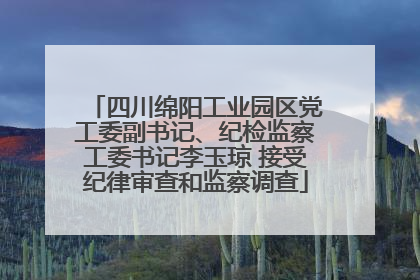 四川绵阳工业园区党工委副书记、纪检监察工委书记李玉琼 接受纪律审查和监察调查