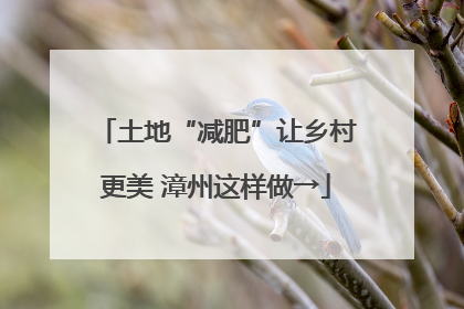 土地“减肥”让乡村更美 漳州这样做→