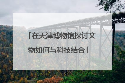 在天津博物馆探讨文物如何与科技结合