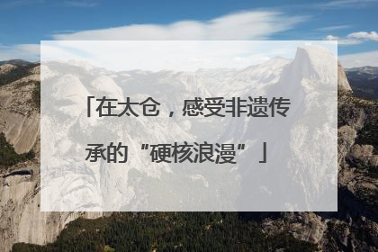 在太仓，感受非遗传承的“硬核浪漫”