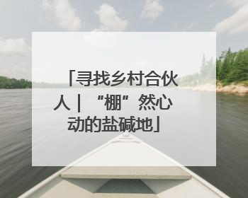 寻找乡村合伙人｜“棚”然心动的盐碱地