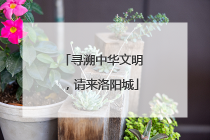 寻溯中华文明，请来洛阳城