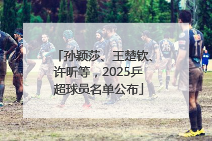 孙颖莎、王楚钦、许昕等，2025乒超球员名单公布