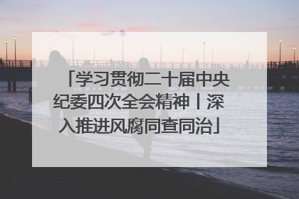 学习贯彻二十届中央纪委四次全会精神丨深入推进风腐同查同治