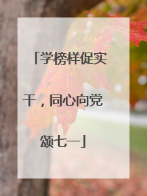 学榜样促实干，同心向党颂七一