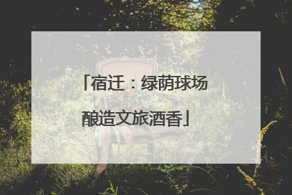 宿迁：绿荫球场酿造文旅酒香
