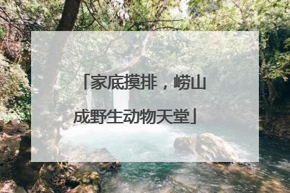 家底摸排，崂山成野生动物天堂