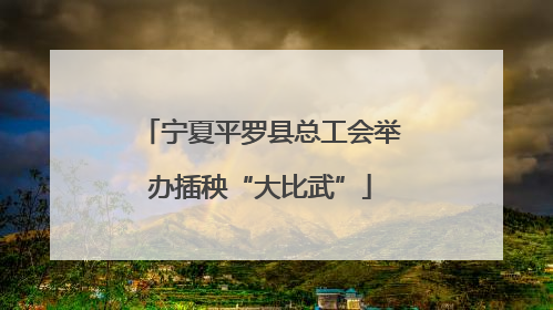 宁夏平罗县总工会举办插秧“大比武”