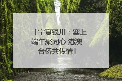 宁夏银川：塞上端午聚同心 港澳台侨共传情